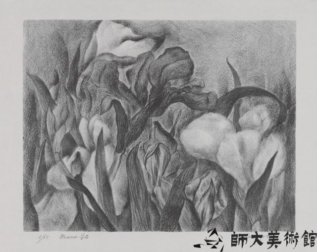 Bloom-y2藏品圖，第1張