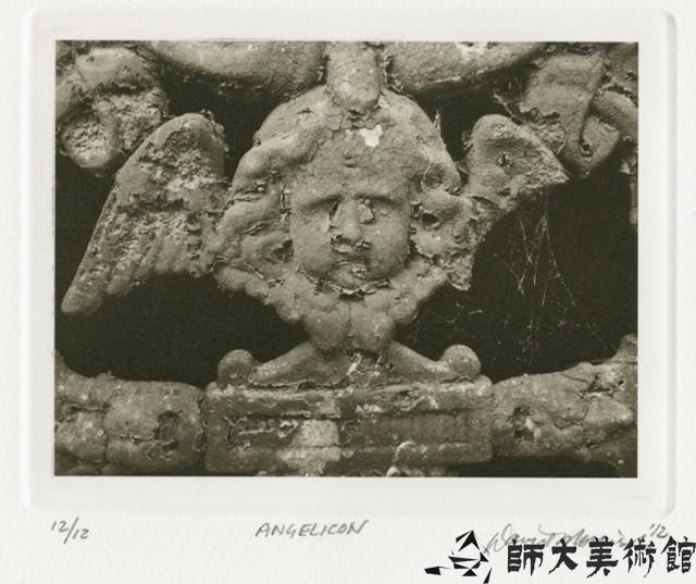 Angelicon藏品圖，第1張