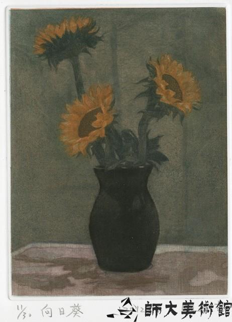 向日葵藏品圖，第1張