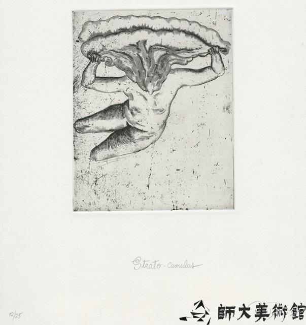 Strato-cumulus藏品圖，第1張