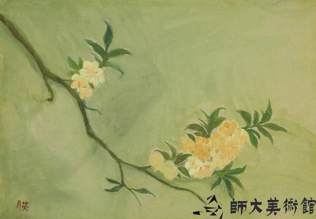 花卉藏品圖，第1張