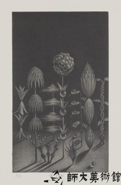 植物Ι藏品圖，第1張