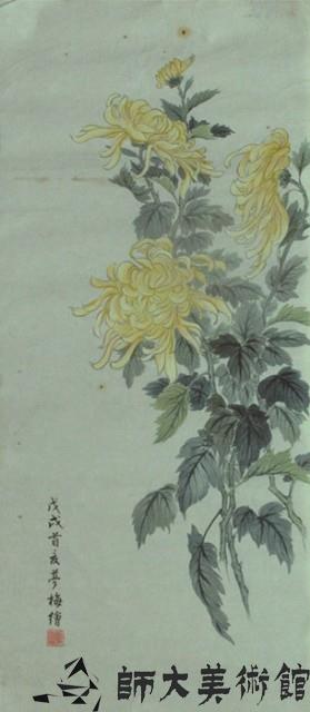 菊藏品圖，第1張