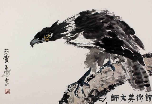 老鷹藏品圖，第1張