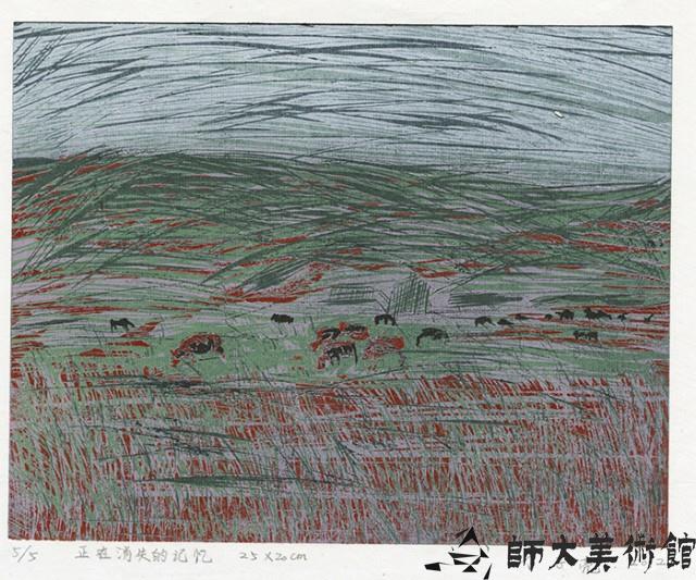 正在消失的記憶藏品圖，第1張