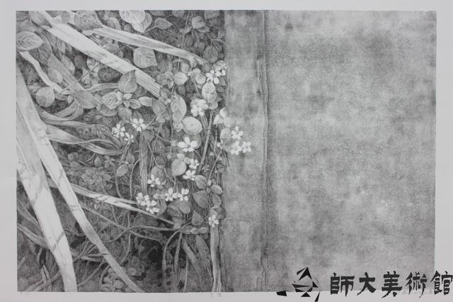 界限藏品圖，第1張