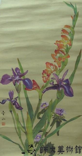 劍蘭藏品圖，第1張