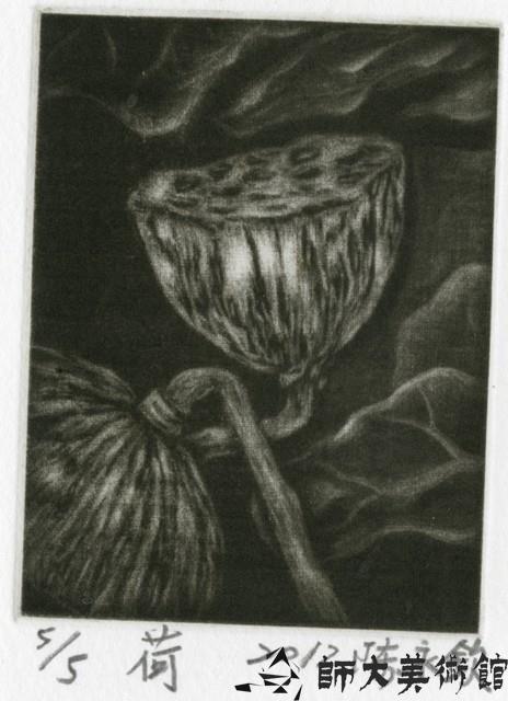 荷藏品圖，第1張