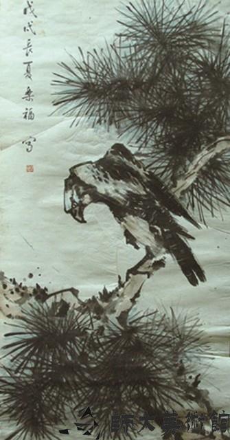 鷹藏品圖，第1張