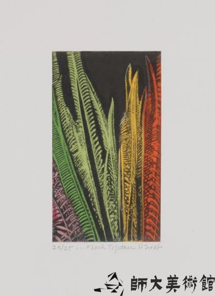 …Flock Together藏品圖，第1張