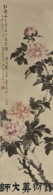 牡丹藏品圖，第1張