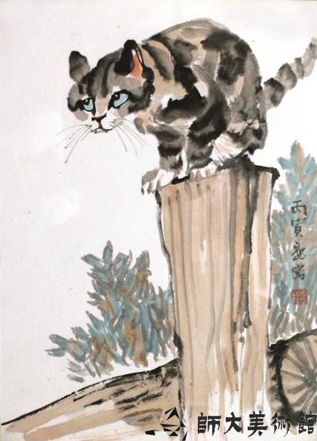 貓藏品圖，第1張