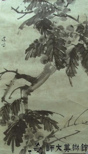 枇杷藏品圖，第1張