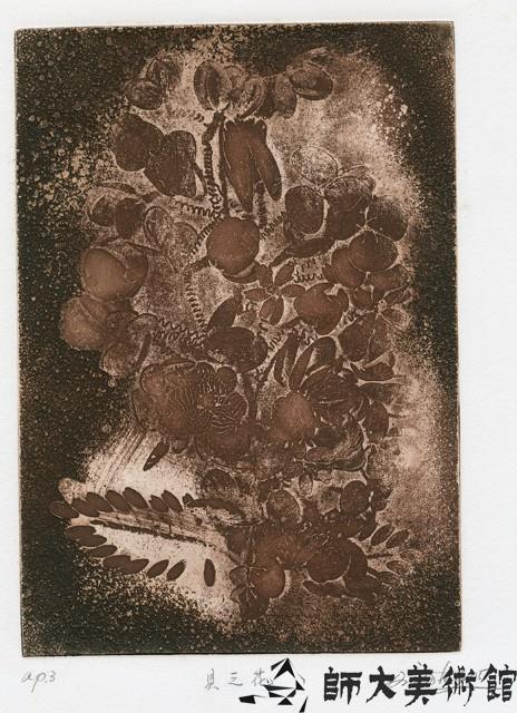 貝之花藏品圖，第1張