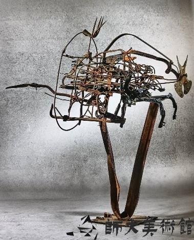 Rare Bird Collection Image