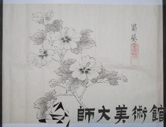 蜀葵藏品圖，第1張