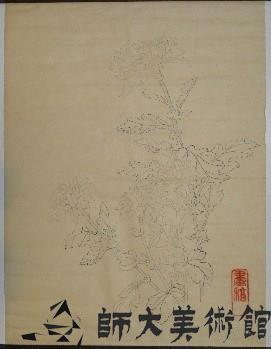 菊藏品圖，第1張