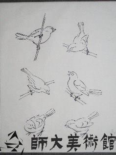 雀鷹畫稿-2藏品圖，第1張