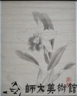 洋蘭-2藏品圖，第1張