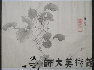 豆花藏品圖，第1張
