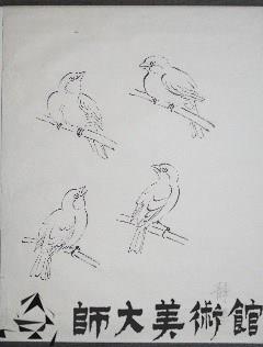 雀鷹畫稿-4藏品圖，第1張