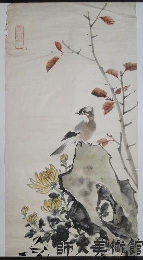 菊花白頭藏品圖，第1張