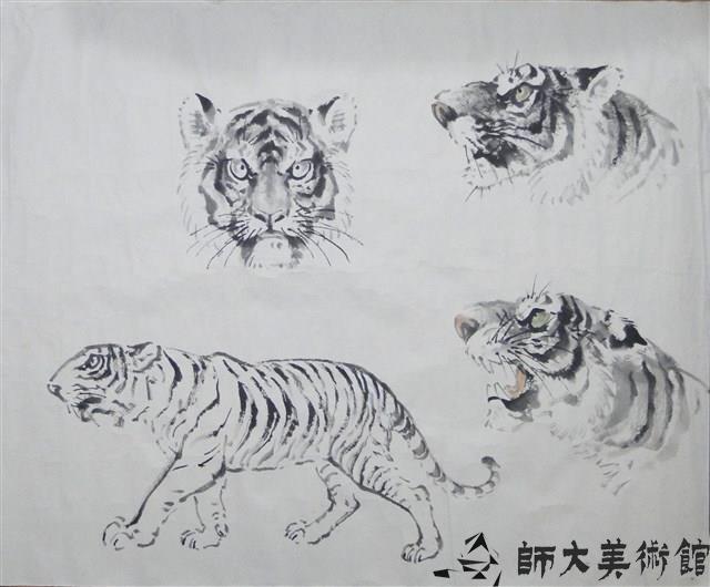 畫虎畫稿藏品圖，第1張