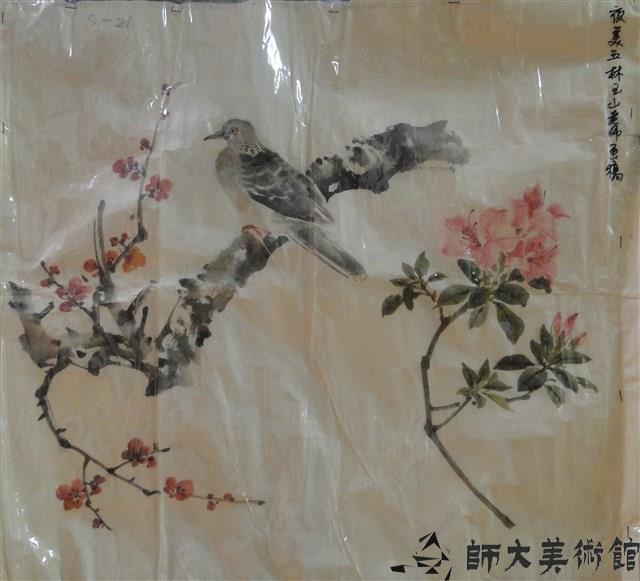 梅鳩、杜鵑藏品圖，第1張