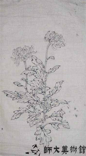 雙鈎菊藏品圖，第1張