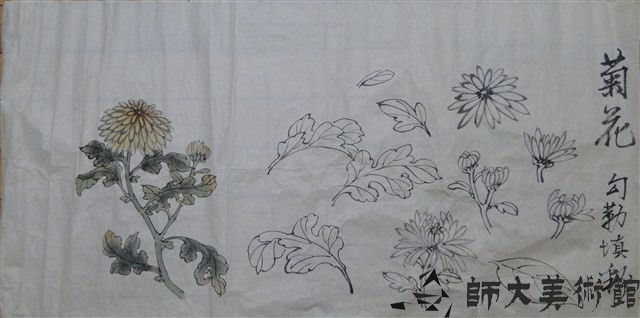 菊之鈎勒填彩藏品圖，第1張