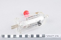 真空管藏品圖，第1張