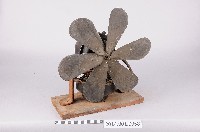 電風扇藏品圖，第1張