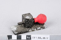 不明科教器具藏品圖，第1張