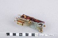 繼電器藏品圖，第1張