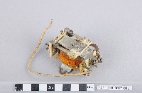 繼電器藏品圖，第1張