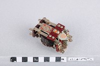 MC繼電器藏品圖，第1張