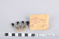 標示燈藏品圖，第1張