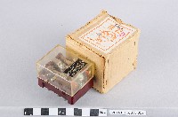 繼電器藏品圖，第1張