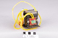 螺線管藏品圖，第1張