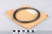 黑色O環藏品圖，第1張