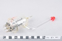 真空管藏品圖，第1張