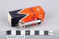 真空管藏品圖，第1張