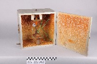 電弧燈藏品圖，第1張