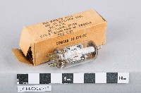 真空管藏品圖，第1張