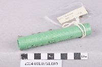 電阻藏品圖，第1張