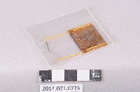 登錄號:2014.001.0773藏品圖，第1張