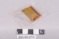 登錄號:2014.001.0774藏品圖，第1張