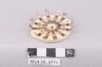 登錄號:2014.001.0776藏品圖，第1張