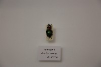 鯽魚大步甲藏品圖，第1張