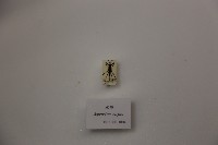 水黽藏品圖，第1張